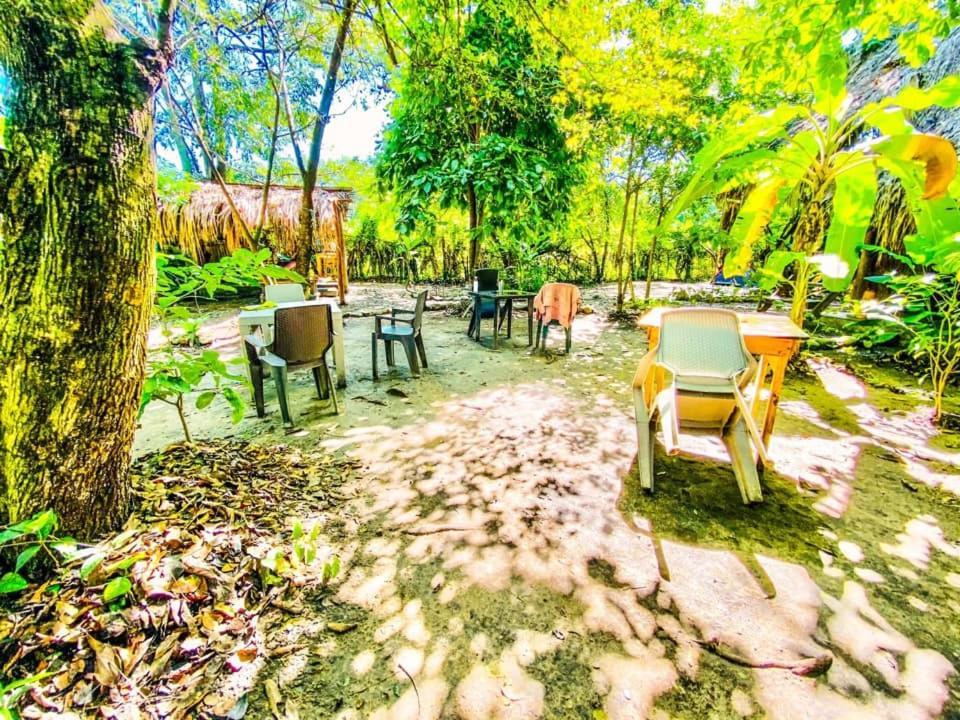 La Aldea Hostel, Camping Y Hamacas Palomino Exterior foto
