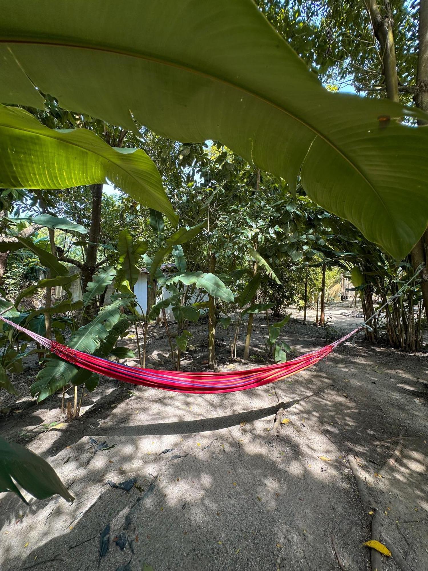 La Aldea Hostel, Camping Y Hamacas Palomino Exterior foto